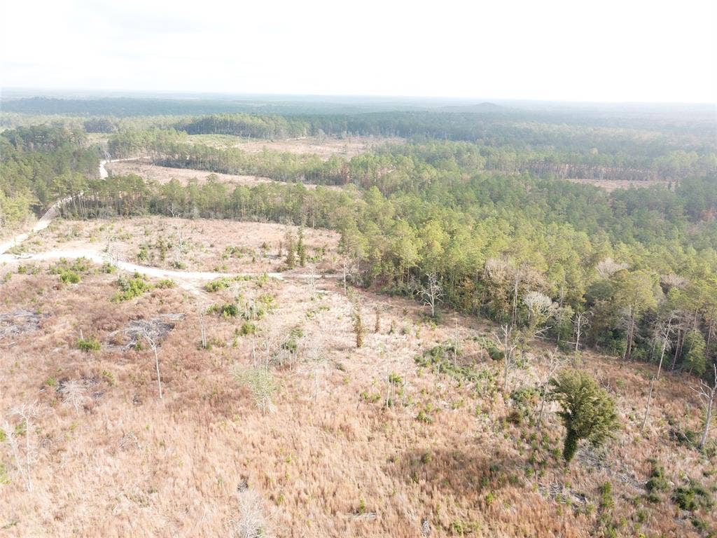 00 County Road 2845, Colmesneil, TX 75938