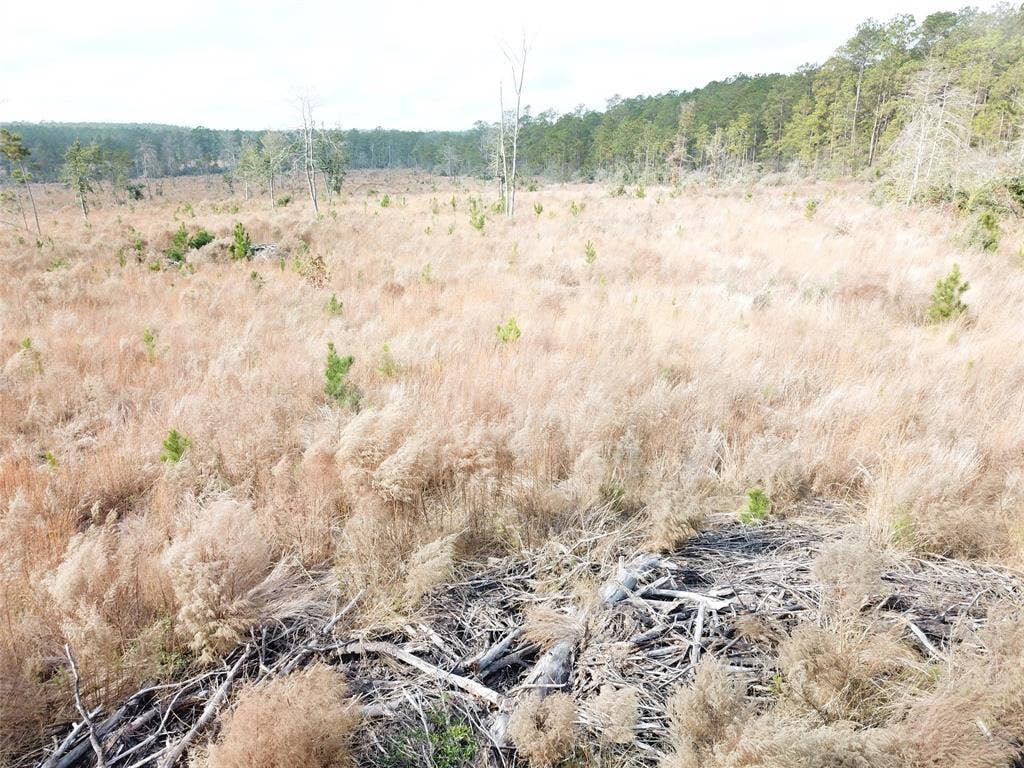 00 County Road 2845, Colmesneil, TX 75938