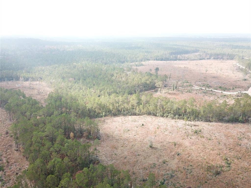 00 County Road 2845, Colmesneil, TX 75938