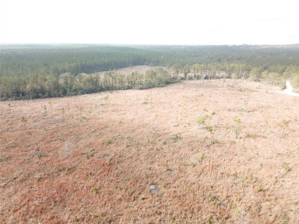 00 County Road 2845, Colmesneil, TX 75938