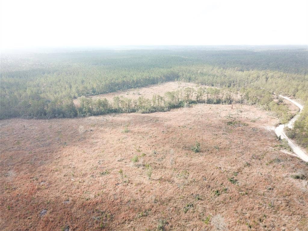 00 County Road 2845, Colmesneil, TX 75938