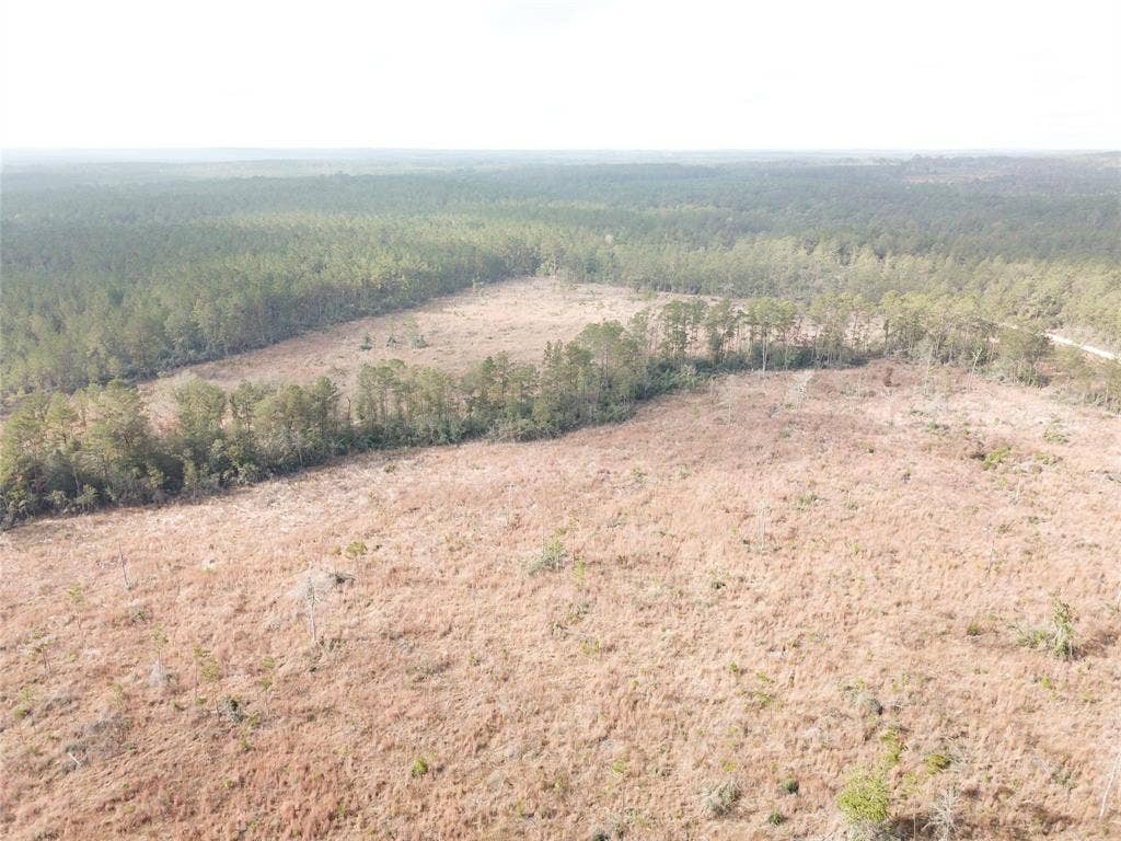 00 County Road 2845, Colmesneil, TX 75938