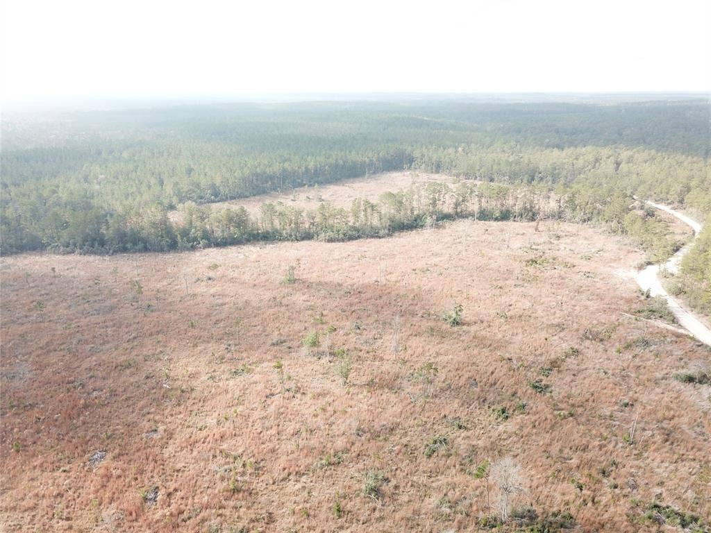 00 County Road 2845, Colmesneil, TX 75938