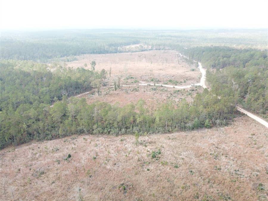 Property photo for 00 County Road 2845, Colmesneil, TX