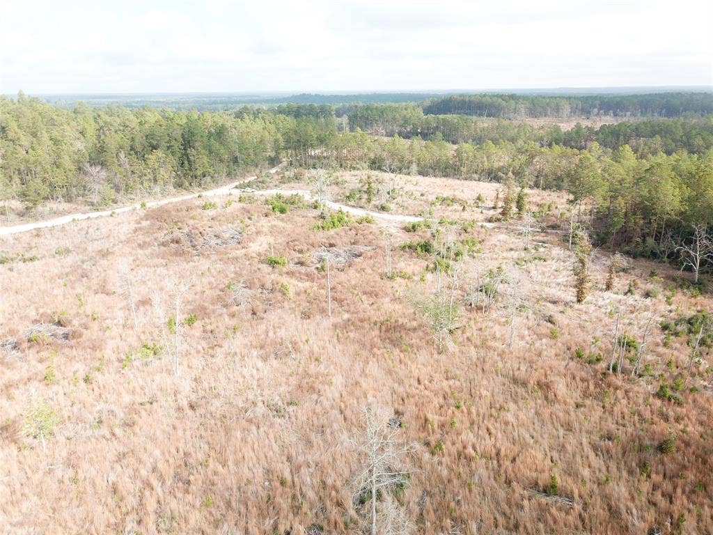 00 County Road 2845, Colmesneil, TX 75938
