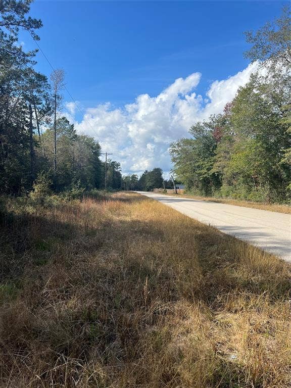 Property photo for 00 Gore Store Road, Kountze, TX