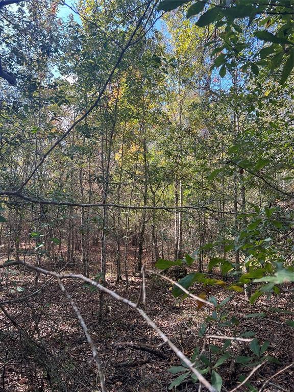 00 Gore Store Road, Kountze, TX 77663