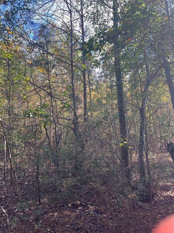 00 Gore Store Road, Kountze, TX 77663
