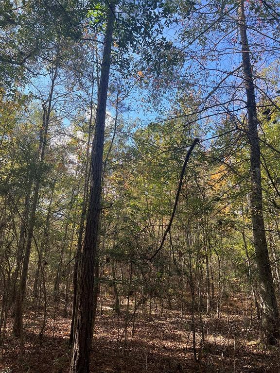00 Gore Store Road, Kountze, TX 77663