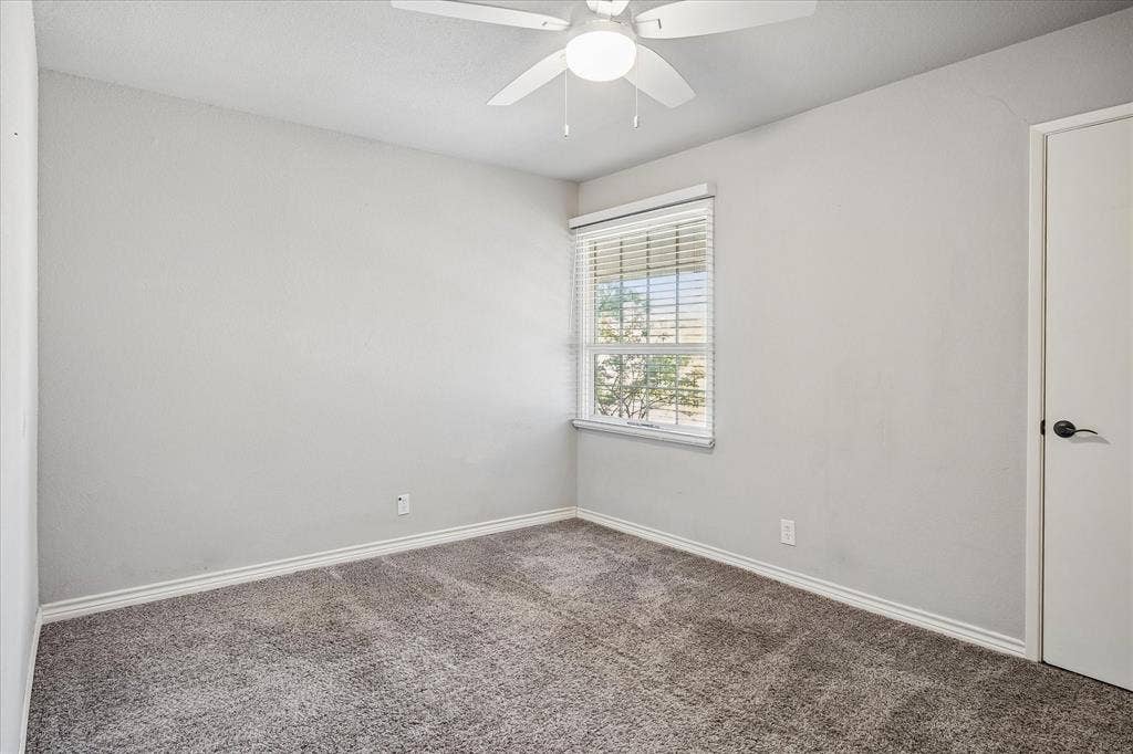 Neutral-toned walls complement the gray carpeting