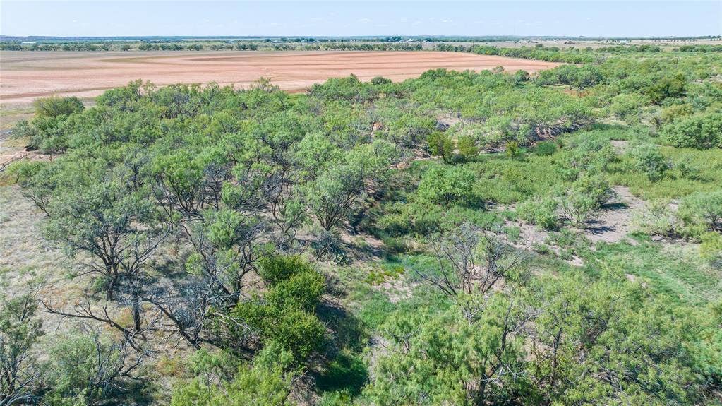 175 Acres Kimbrough Rd, Haskell, TX 79521