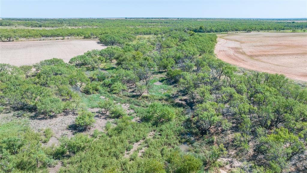 175 Acres Kimbrough Rd, Haskell, TX 79521