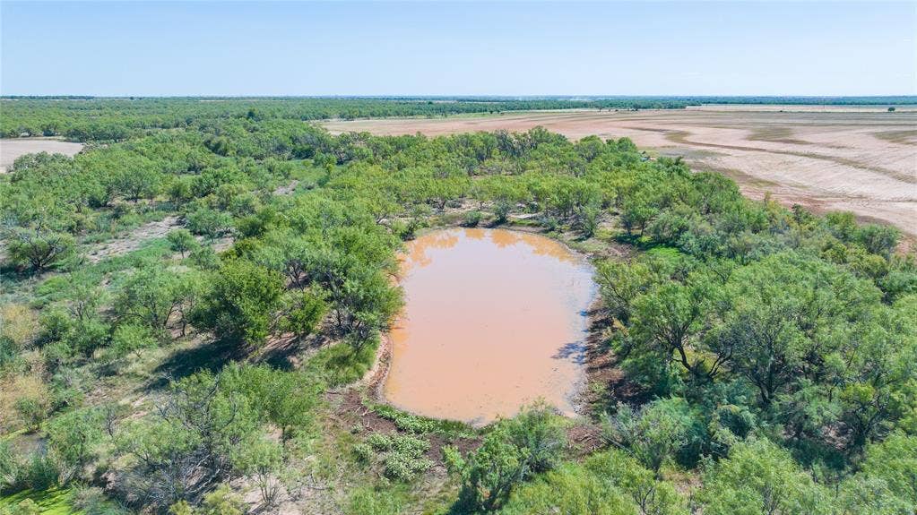 175 Acres Kimbrough Rd, Haskell, TX 79521