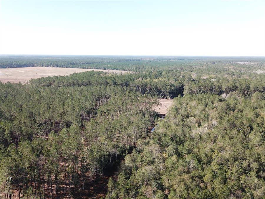 Property photo for 00 Hunting Lodge Road, Kountze, TX