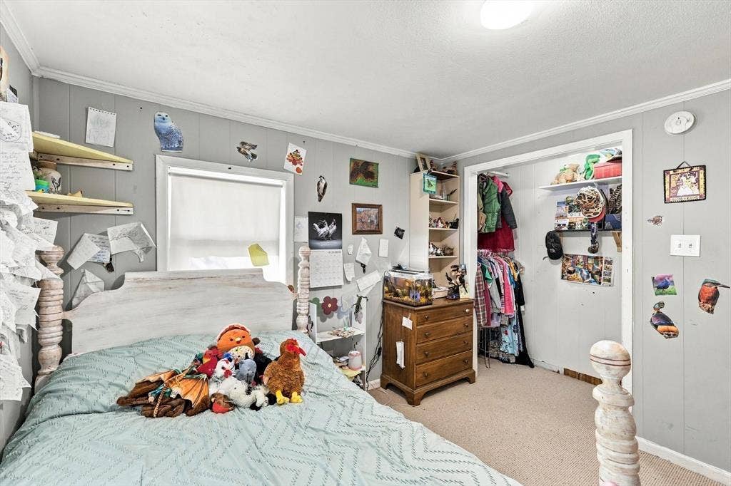 1320 Apple Lane, Midlothian, TX 76065 Bedroom featuring neutral wall paneling, wall-to-wall carpeting, and a closet with built-in shelving