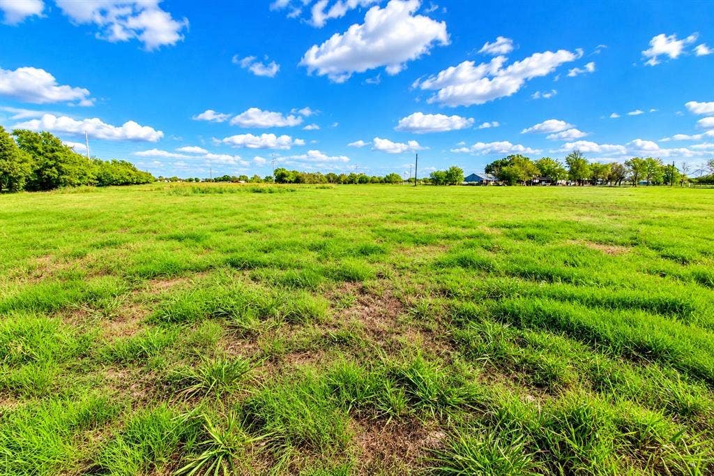 7697 County Road 4094, Scurry, TX 75158 Expansive open acreage featuring level grass terrain and mature perimeter trees