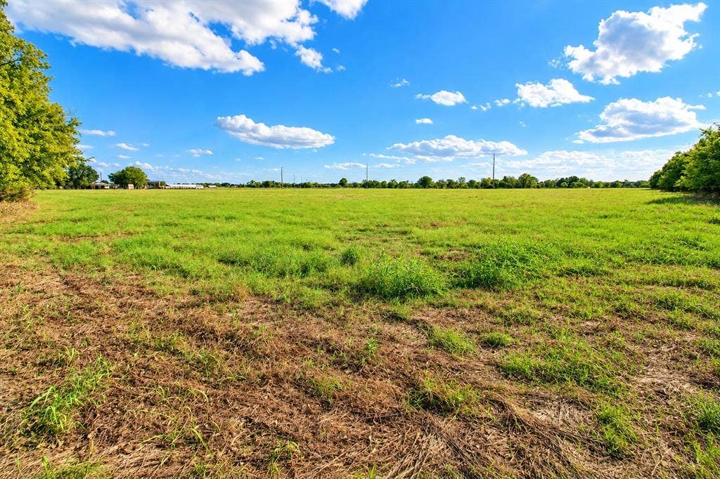 7697 County Road 4094, Scurry, TX 75158 Expansive open acreage featuring level topography and mature perimeter trees