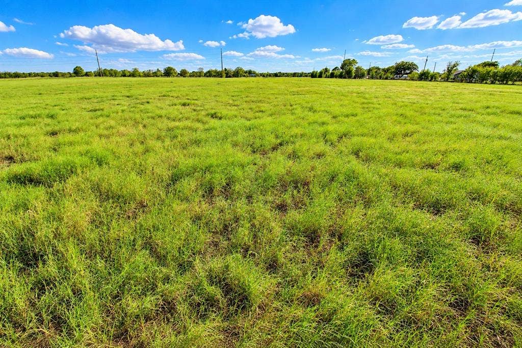 7697 County Road 4094, Scurry, TX 75158 Expansive acreage featuring cleared level terrain, native grasses, and mature perimeter trees