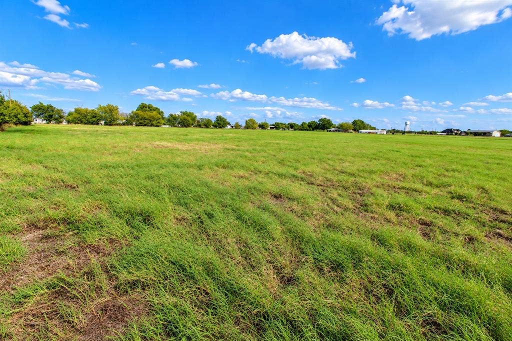 7697 County Road 4094, Scurry, TX 75158 Expansive open acreage featuring level grass terrain and mature perimeter trees
