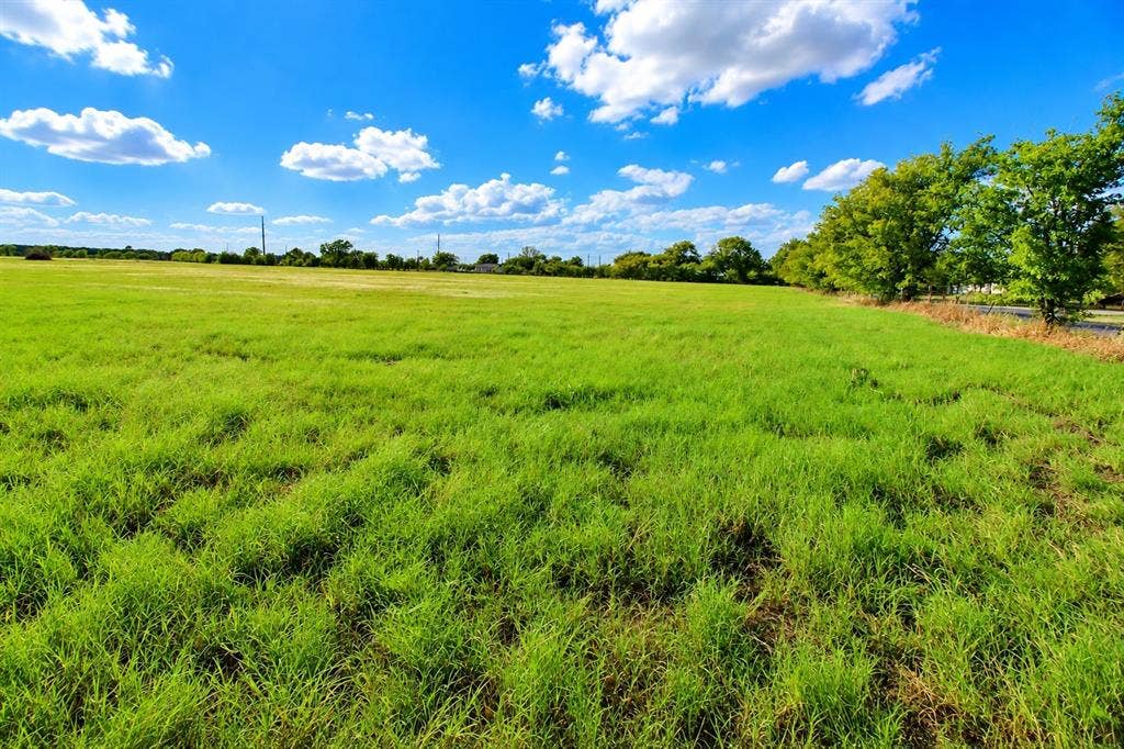 7697 County Road 4094, Scurry, TX 75158 Expansive open acreage featuring level topography, natural grass coverage, and mature perimeter trees
