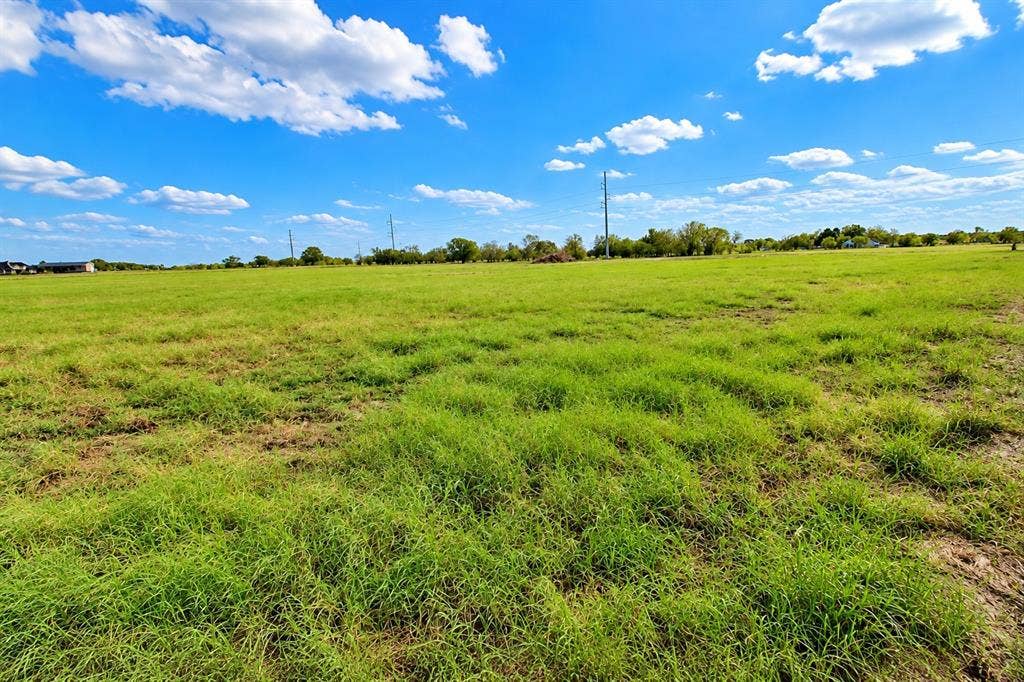 7697 County Road 4094, Scurry, TX 75158 Expansive, open-lot acreage featuring level terrain and scattered mature trees