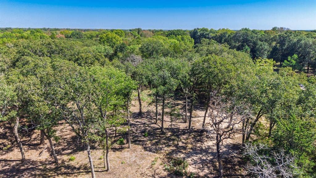 7280 FM 1567 Creek, Lone Oak, TX 75453 7280 FM 1567 Creek, Lone Oak, TX 75453