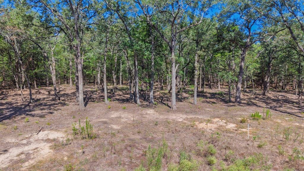 7280 FM 1567 Creek, Lone Oak, TX 75453 7280 FM 1567 Creek, Lone Oak, TX 75453