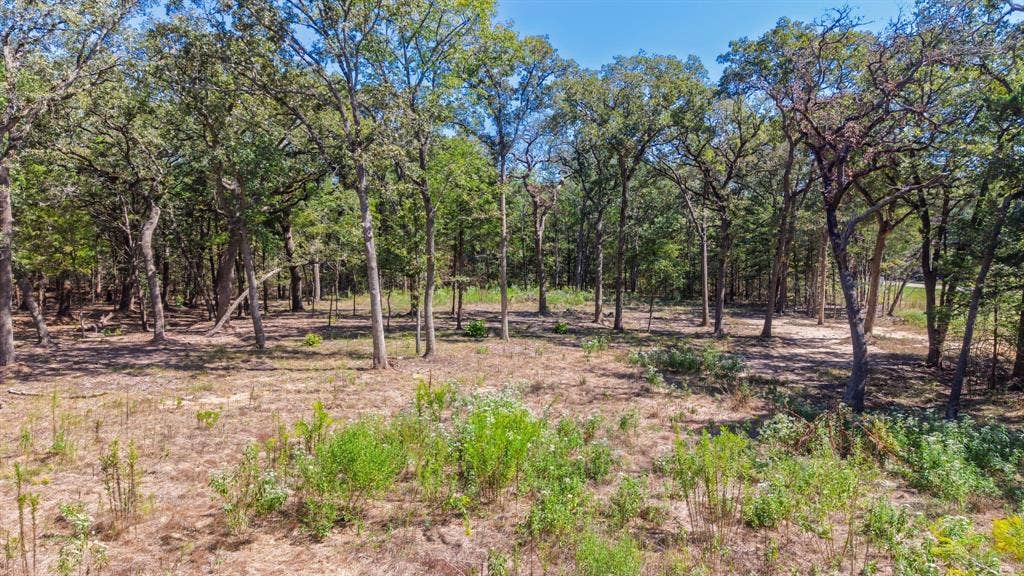 7280 FM 1567 Creek, Lone Oak, TX 75453 7280 FM 1567 Creek, Lone Oak, TX 75453