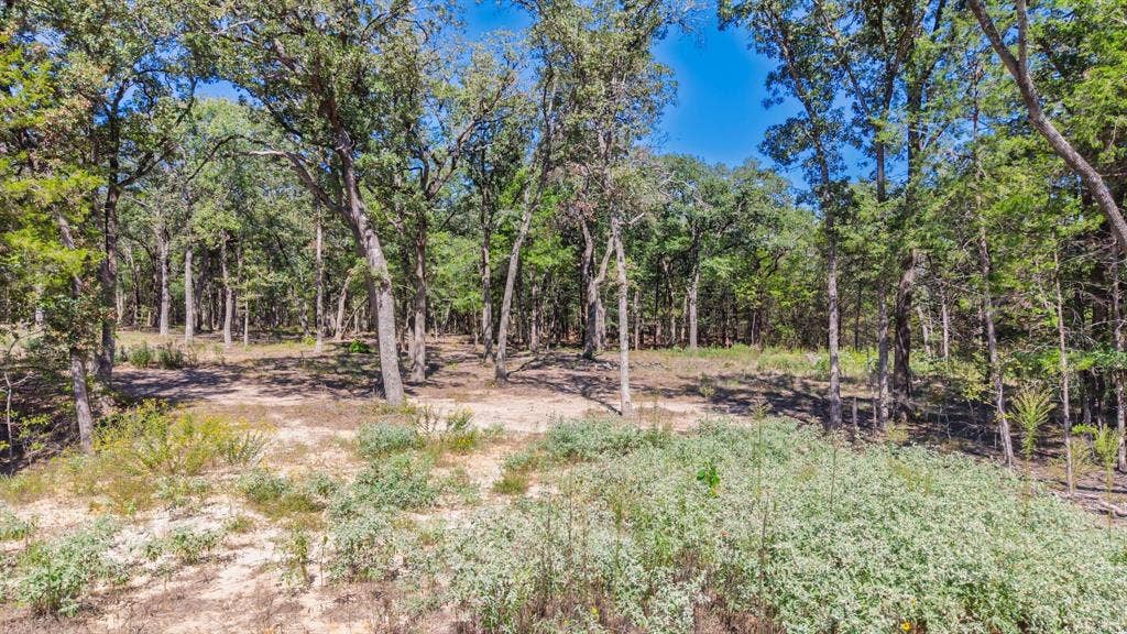 7280 FM 1567 Creek, Lone Oak, TX 75453 7280 FM 1567 Creek, Lone Oak, TX 75453