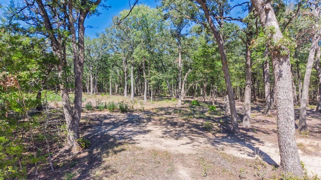 7280 FM 1567 Creek, Lone Oak, TX 75453 7280 FM 1567 Creek, Lone Oak, TX 75453