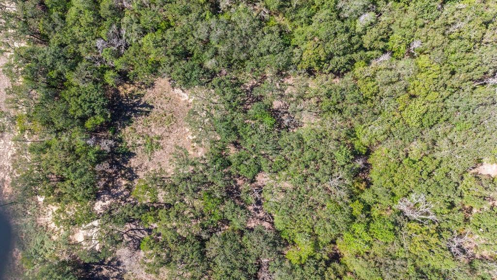 7280 FM 1567 Creek, Lone Oak, TX 75453 7280 FM 1567 Creek, Lone Oak, TX 75453