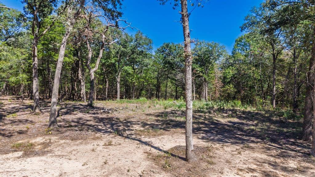 7280 FM 1567 Creek, Lone Oak, TX 75453 7280 FM 1567 Creek, Lone Oak, TX 75453