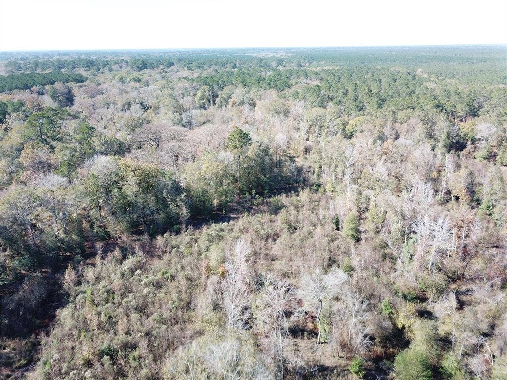 00 FM 770, Kountze, TX 77625