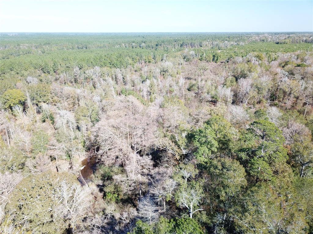 00 FM 770, Kountze, TX 77625