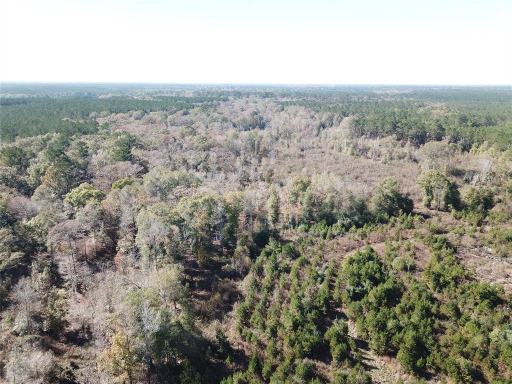 00 FM 770, Kountze, TX 77625