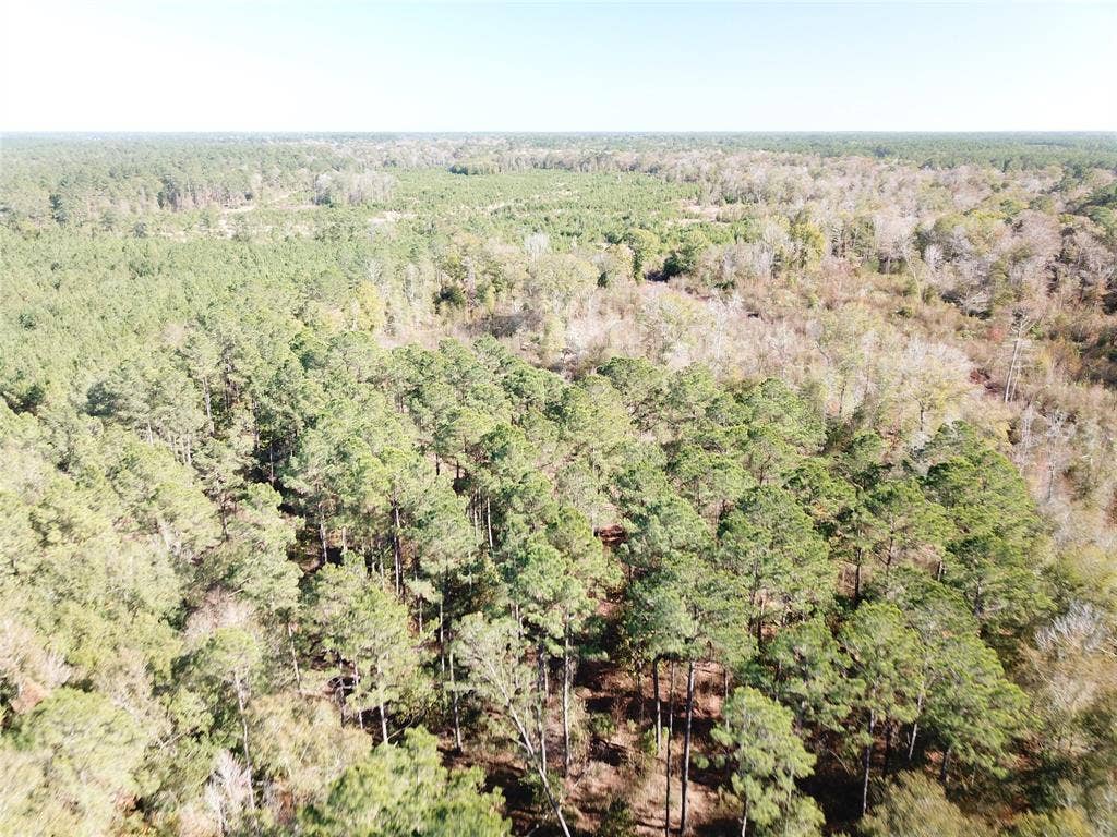 00 FM 770, Kountze, TX 77625