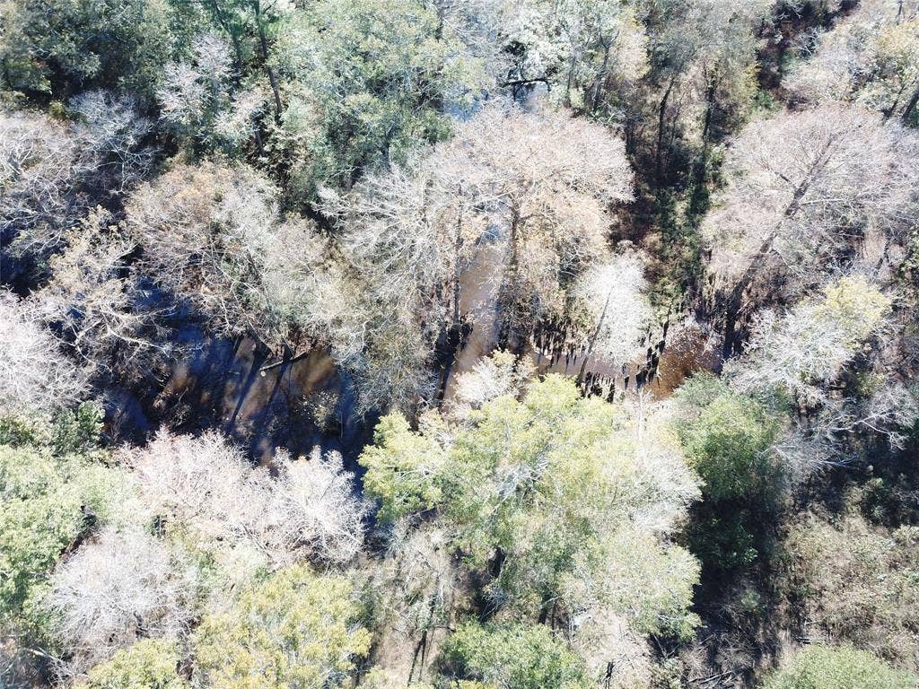 00 FM 770, Kountze, TX 77625