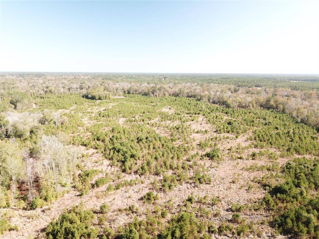 00 FM 770, Kountze, TX 77625