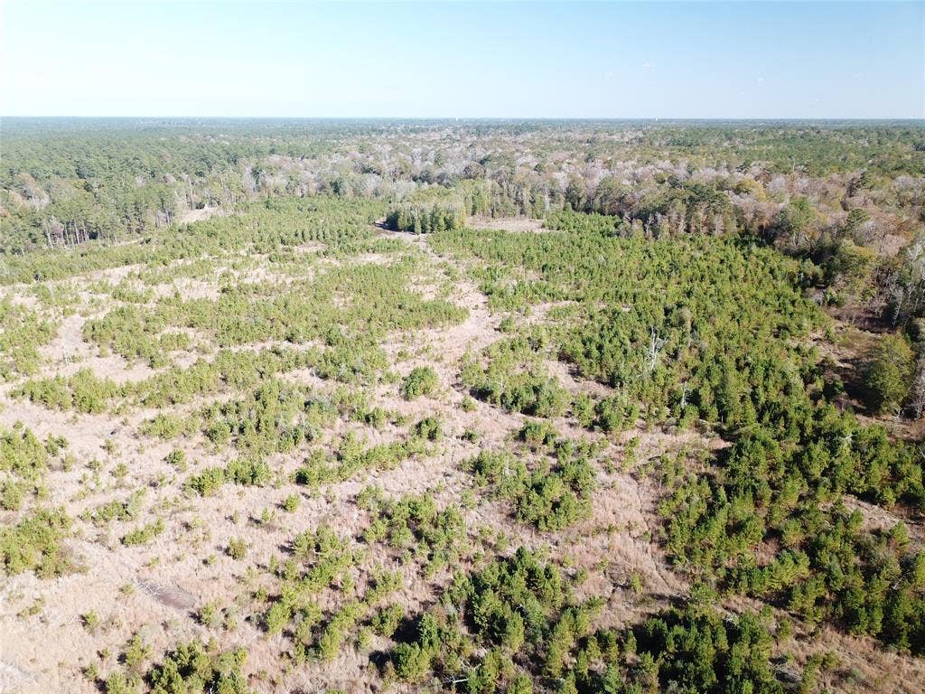 00 FM 770, Kountze, TX 77625