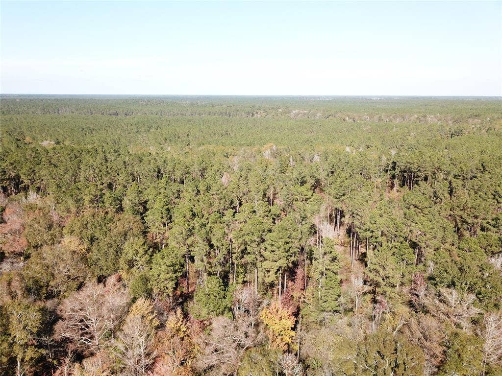 00 FM 770, Kountze, TX 77625