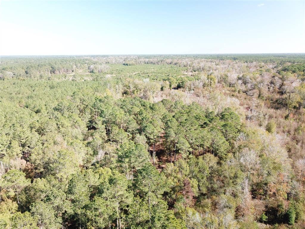 00 FM 770, Kountze, TX 77625