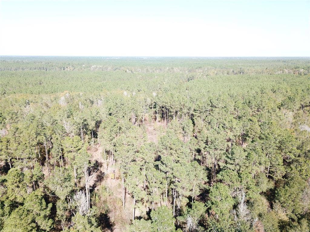00 FM 770, Kountze, TX 77625