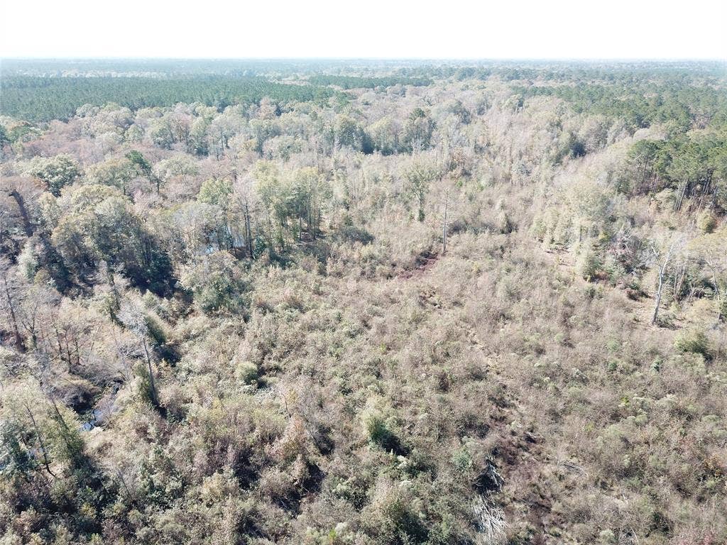 00 FM 770, Kountze, TX 77625