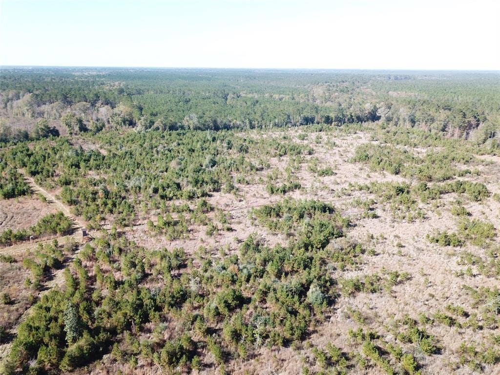 00 FM 770, Kountze, TX 77625