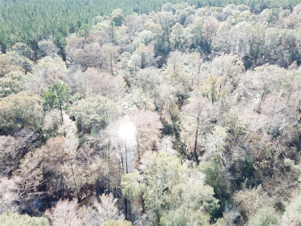 00 FM 770, Kountze, TX 77625