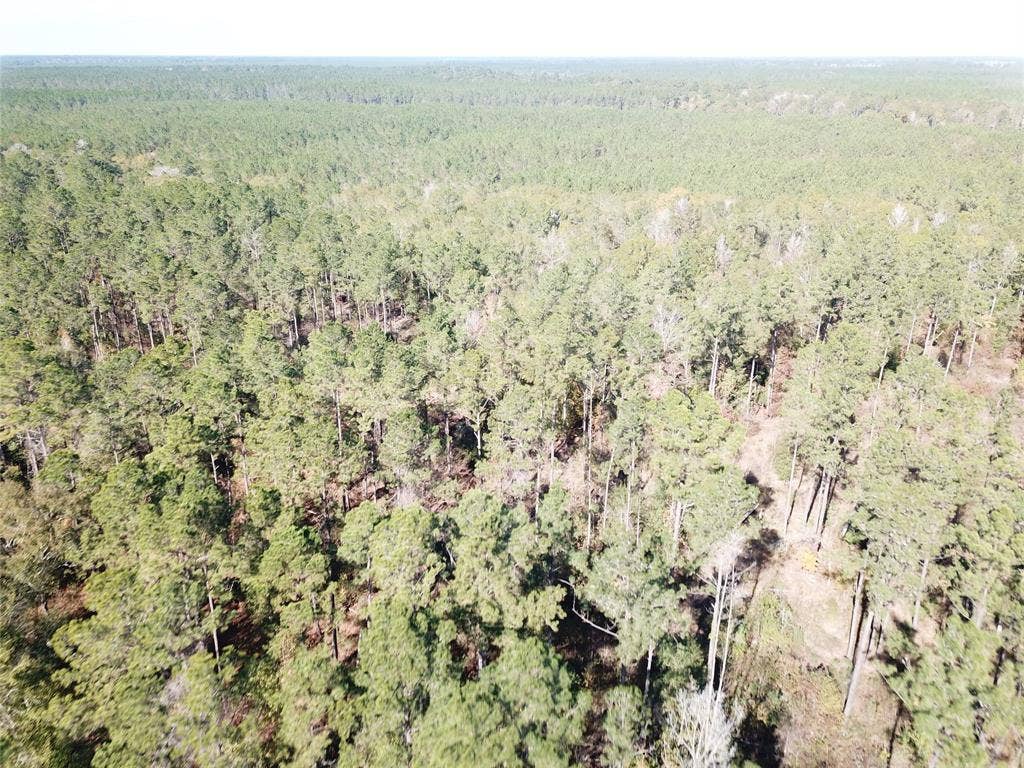 00 FM 770, Kountze, TX 77625