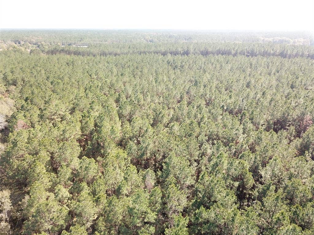 00 FM 770, Kountze, TX 77625