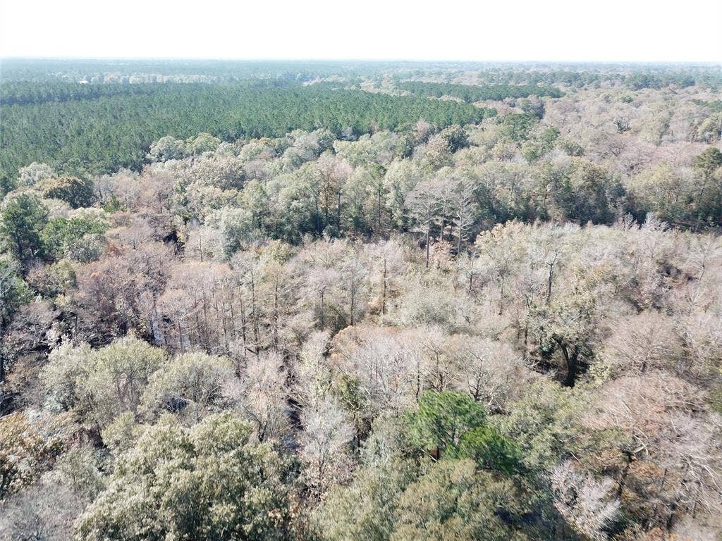 00 FM 770, Kountze, TX 77625