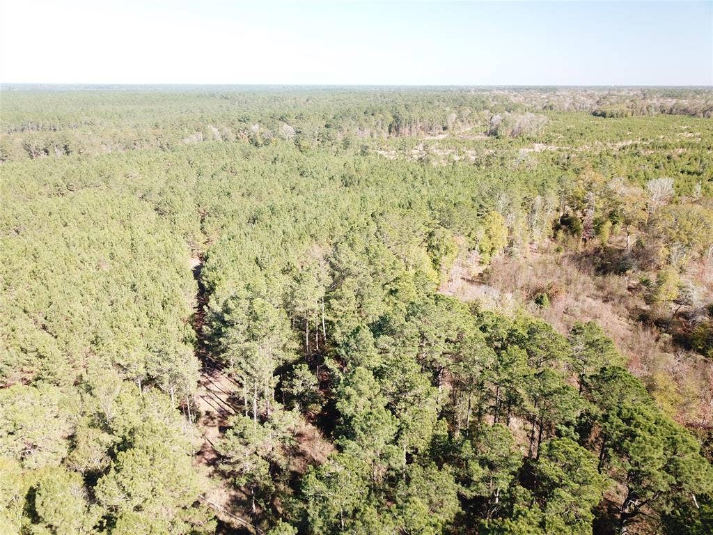 00 FM 770, Kountze, TX 77625
