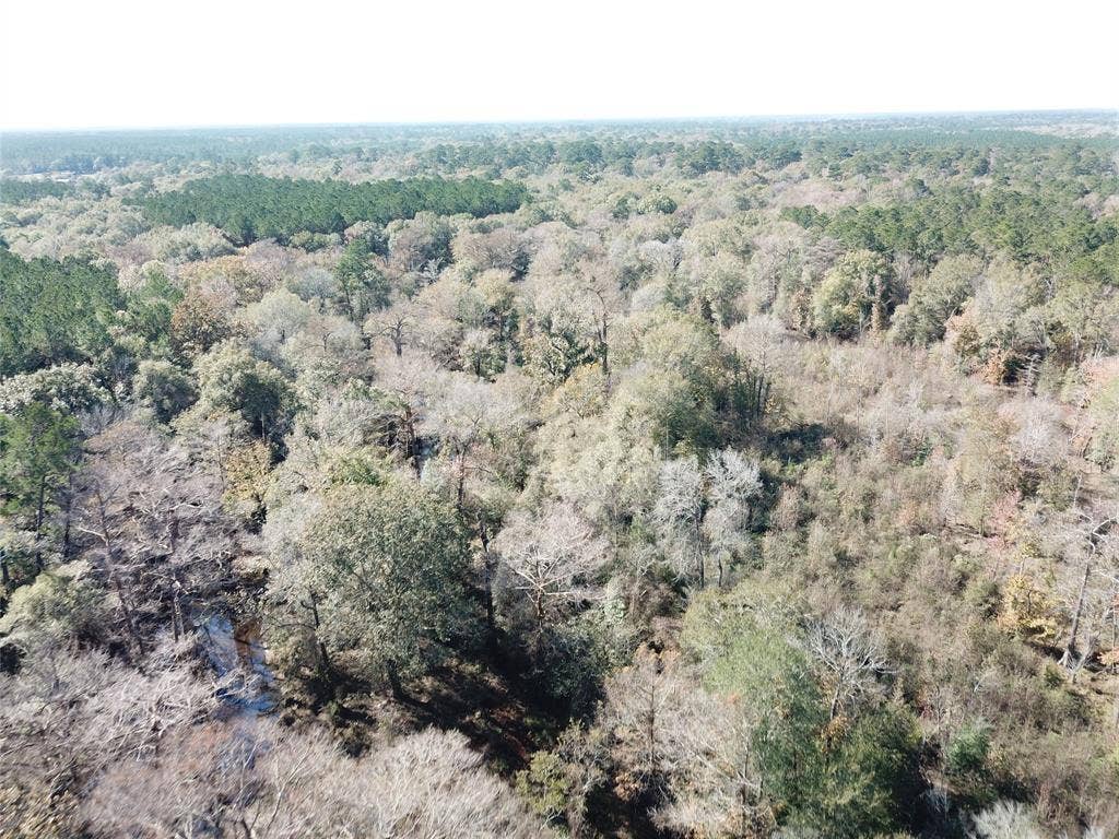 00 FM 770, Kountze, TX 77625